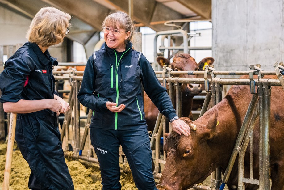 Anne Hege og Kari i samtale i fjøset. Anne Hege klapper samtidig ei ku som stikker frem hode i fanghekken.
