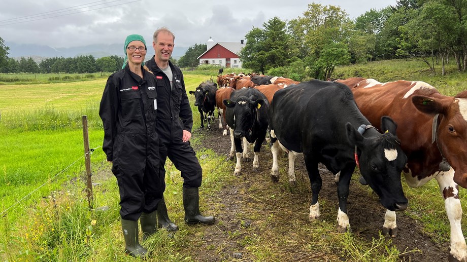 Bilde av bøndene Arnhild Saltbones og Odd Arne Sørdahl som står ute sammen med kuflokken.