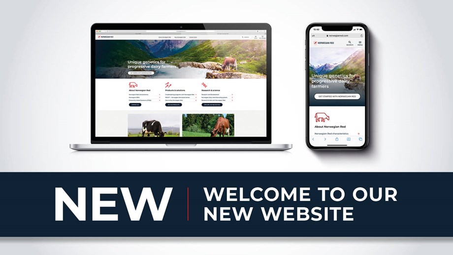 Illustrasjon av nye norwegianred.com på desktop og mobil.