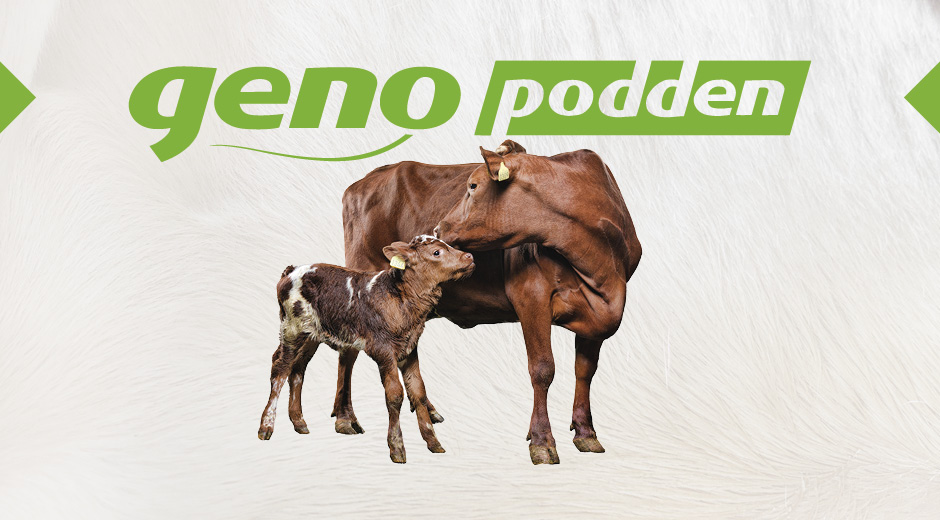 Illustrasjonsbilde genopodden