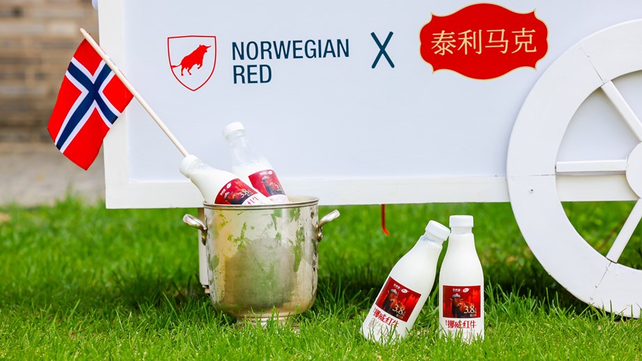 Melkeplasker som står plassert på gresset og oppi en champagne-kjøler med isbiter. I bakgrunnen en hvis "kjerre" påført logoen til Norwegian Red.