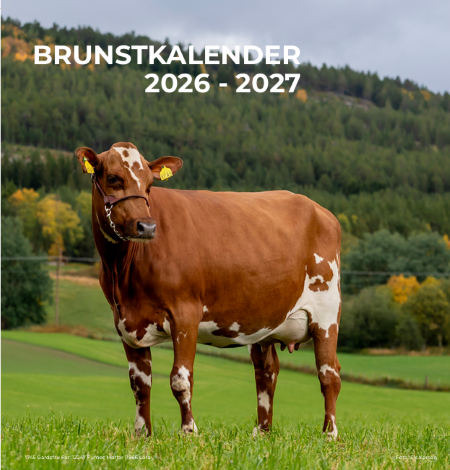 Bilde_brunstkalender 2026-2027.png