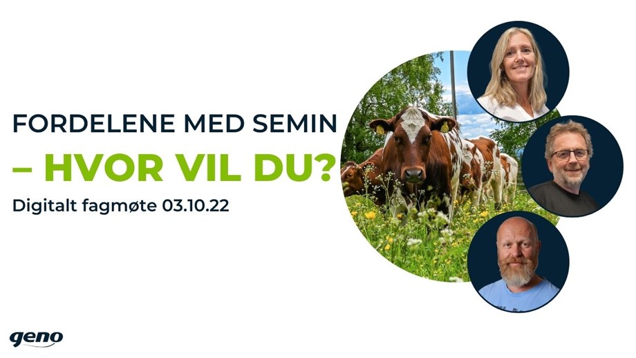 Bilde av foredragsholdere for digitalt fagmøte