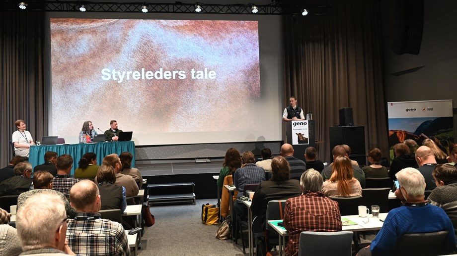 styreleder står på scenen ved talerstolen. På skjermen står det "styreleders tale". deler av forsamlingen vises bakfra.
