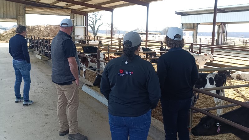 Fine kalver, 22%protein i f&ograve;ret.jpg