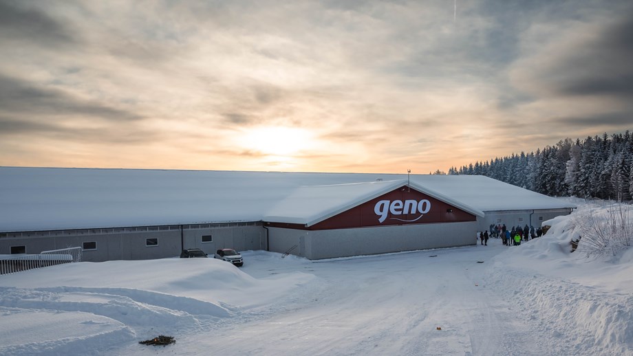 Fjøsbygningen med stor Geno-logo, snø rundt og lav sol på himmelen bak.