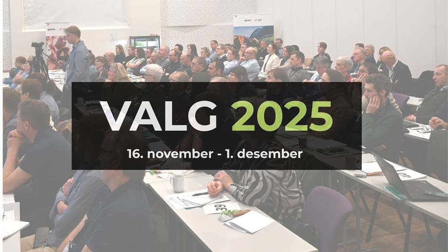 Illustrasjonsbilde hvor forsamlingen i årsmøtet 2025 er nedtonet (transparent) og tekst på bildet med store bokstaver "Valg 2025"