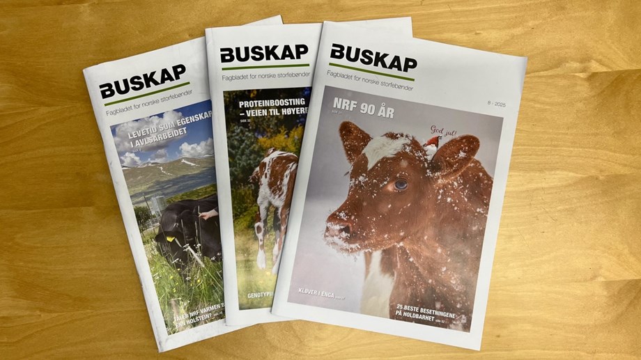 tre utgaver av Buskap ligger på bordet i en vifteform.