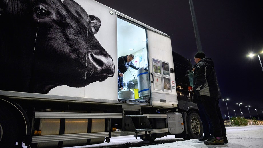 Geno sin sædrutebil hvor sjåførene fyller sæd i beholderen til en inseminør som står utenfor bilen.