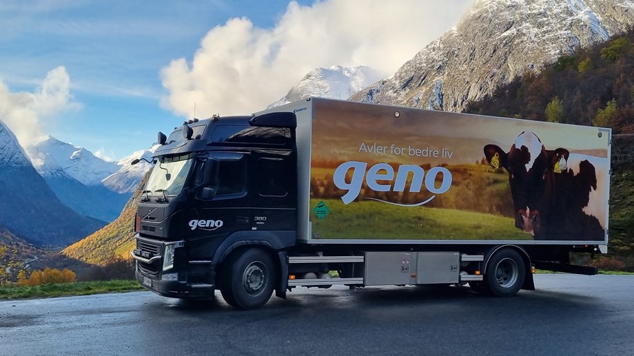 Sædrutebilen med bilde av ku og Geno-logo står parkert med fjell i bakgrunnen.