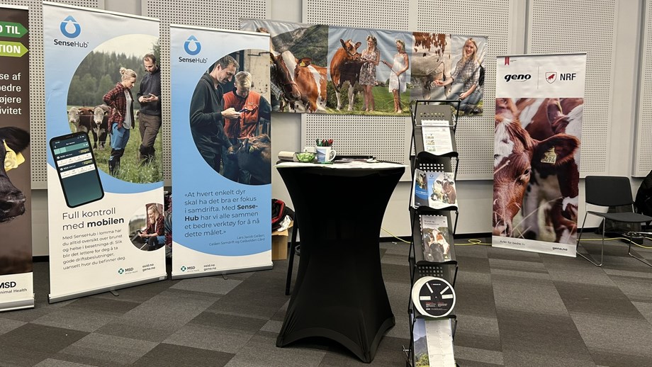 Roll-ups i bakgrunnen og et lite høyt bord og et stativ med magasiner på Geno sin stand.