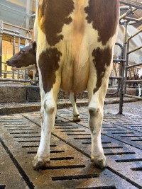 10. desember_Melheim_jur bak.jpg