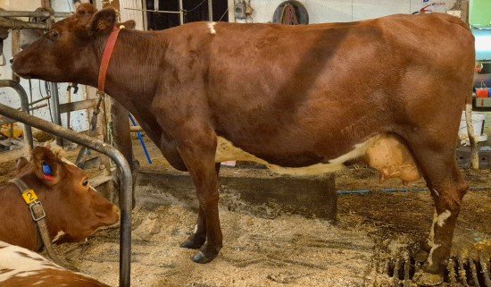 14. desember_Alsli.jpg