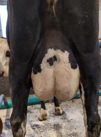 14. desember_Ekker.jpg