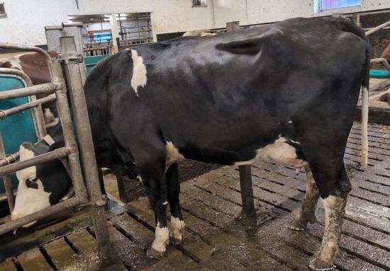 14. desember_Ekker_helfigur.jpg