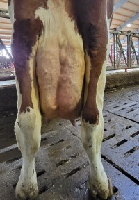 16. desember_Ugland_jur bak.jpg