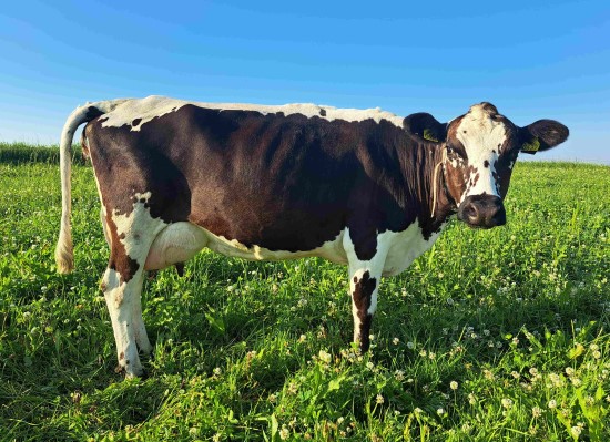 18. desember_S&oslash;rensen.jpg