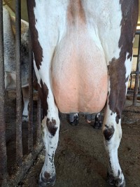 18. desember_S&oslash;rensen_jur bak.jpg