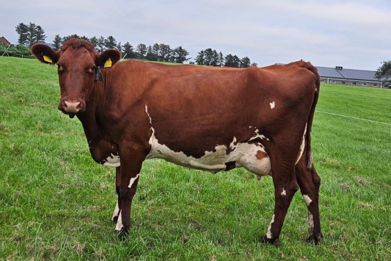 2. desember_Horpestad.jpg