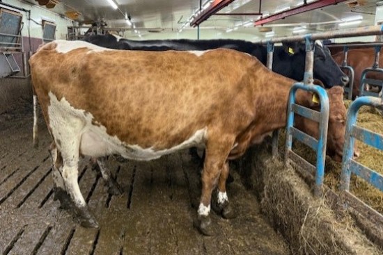 2. desember_Johnsen.jpg