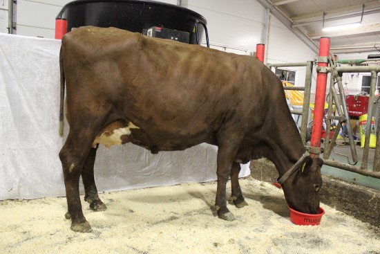 21. desember_Nordseth.JPG