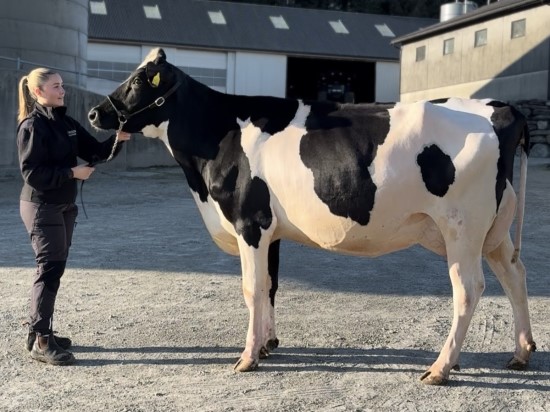 23. desember_Lunden.jpg