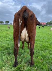 3. desember_Håland_jur bak.jpg