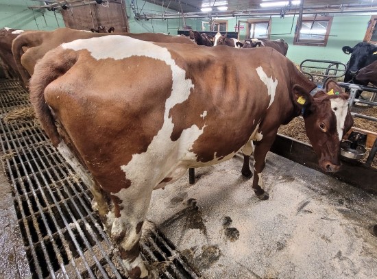 4. desember_Einan.jpg