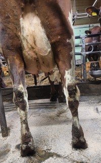 4. desember_Einan_jur bak.jpg