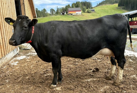 7. desember_Opsund.jpeg