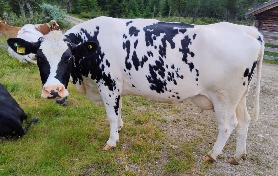 8. desember_Finstad.jpg