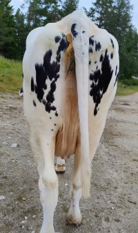 8. desember_Finstad_jur bak.jpg