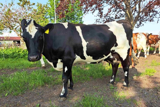 9. desember_Grande.jpg