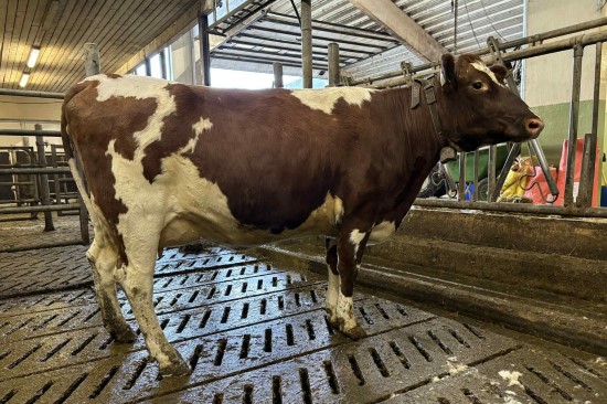 9. desember_St&oslash;fring.jpeg