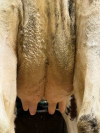 Langstrand_jur bak.jpg