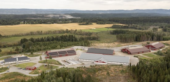 Fjøsene hos Geno Store Ree.jpg