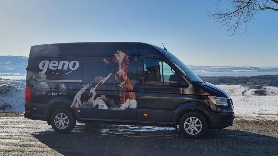 Varebilen som er dekorert med Geno-logo og bilde av en ku som ligger ute på beite. Bilen er parkert i sola med Mjøsa i bakgrunnen.