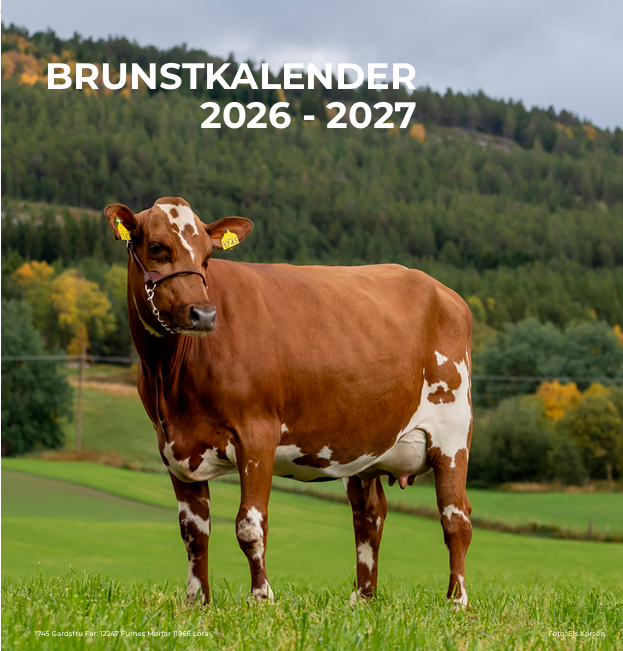 Bilde_brunstkalender 2026-2027.png