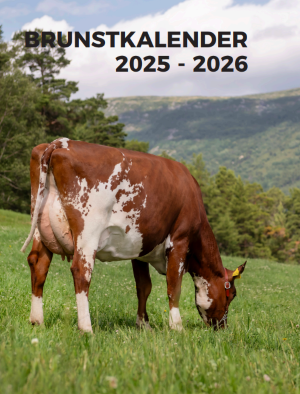 Brunstkalender 2025-2026.png
