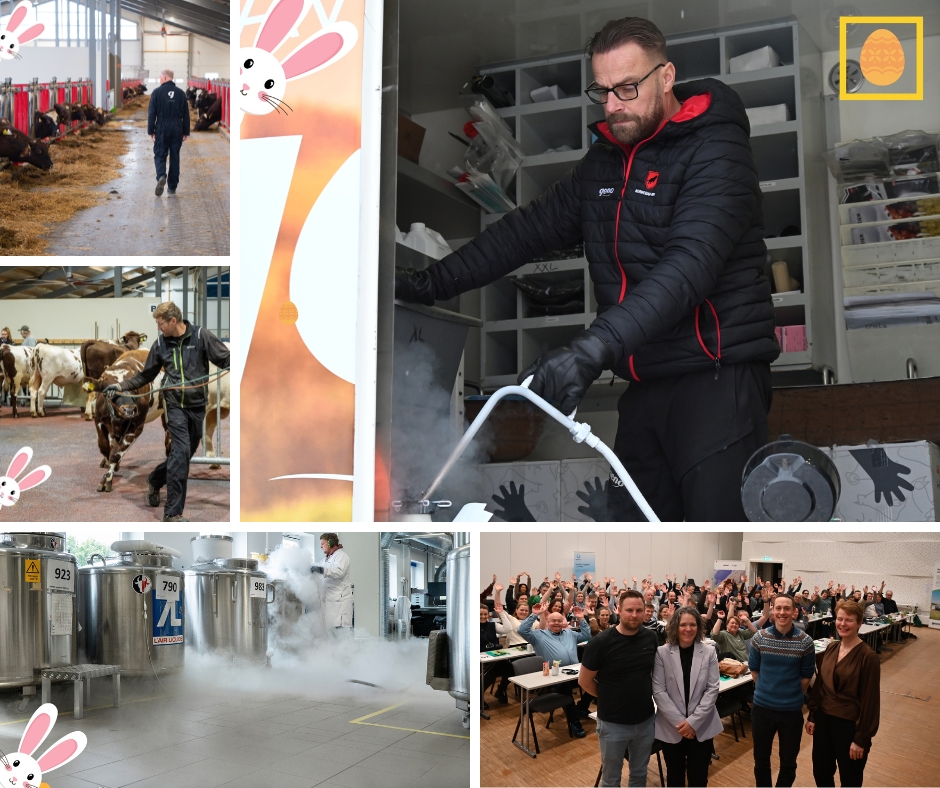 Collage påskekonkurranse.jpg