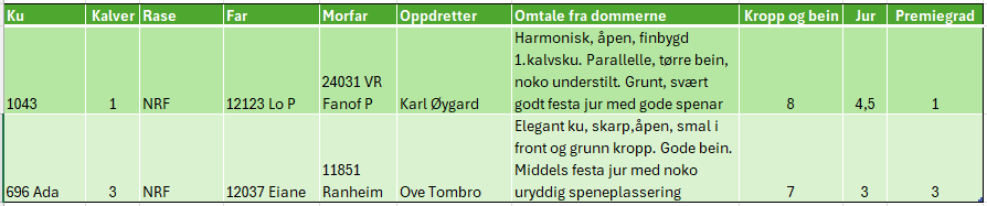 imagen9pl.png