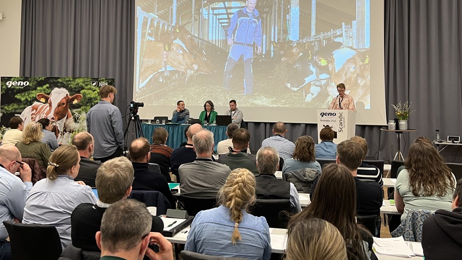 Forsamlingen i møtesalen fotografert bakfra. På podiet foran sitter ledelsen og på lerretet er det bilde av en bonde som står på forbrettet i et fjøs med kyr på begge sider.