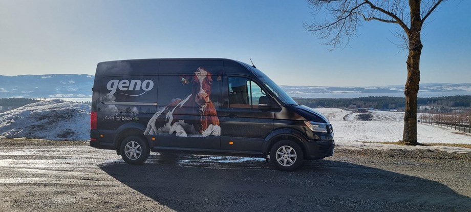 Varebil med bilde av ku og Geno-logo. Jorder med snø og Mjøsa i bakgrunnen.