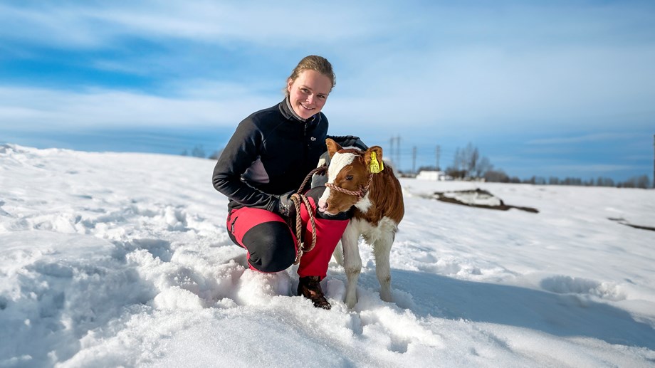 Nora Sandberg sitter på huk i snøen sammen med en kalv. Snødekket jorde og blå himmel i bakgrunnen