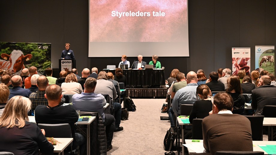 Bilde av forsamlingen bakfra i årsmøtet