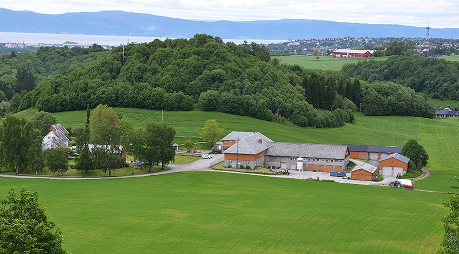 Bilde av Hallsteingård.