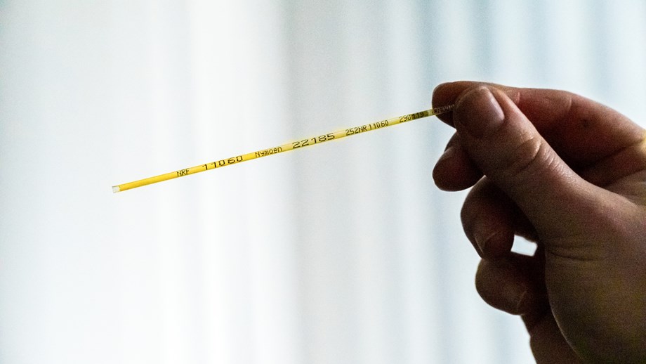 Et gult sædstrå holdes opp. Hånden som holder sædstrået vises. Nøytral hvit bakgrunn.