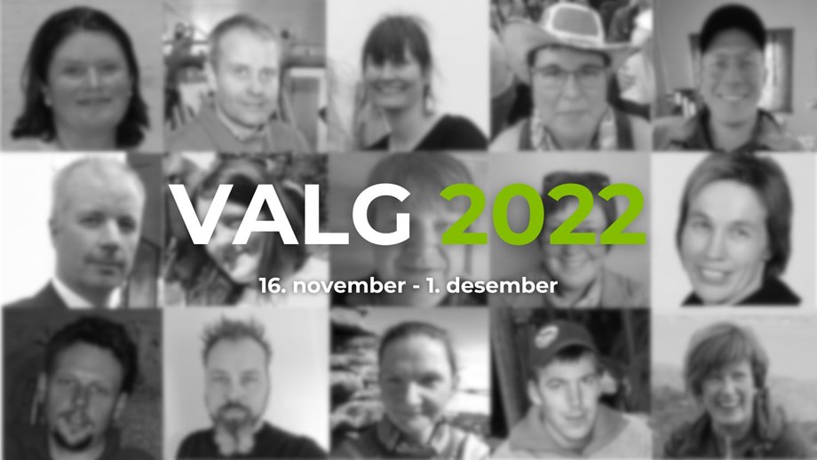 Illustrasjonsbilde valg 2022