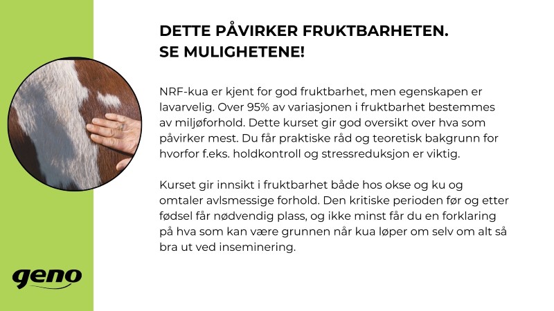 Storfeskolen (1).jpg