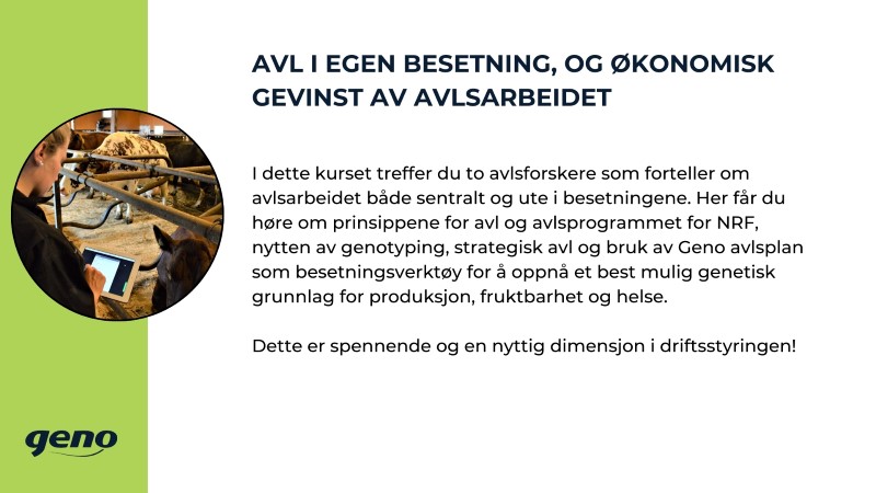 Storfeskolen (2).jpg